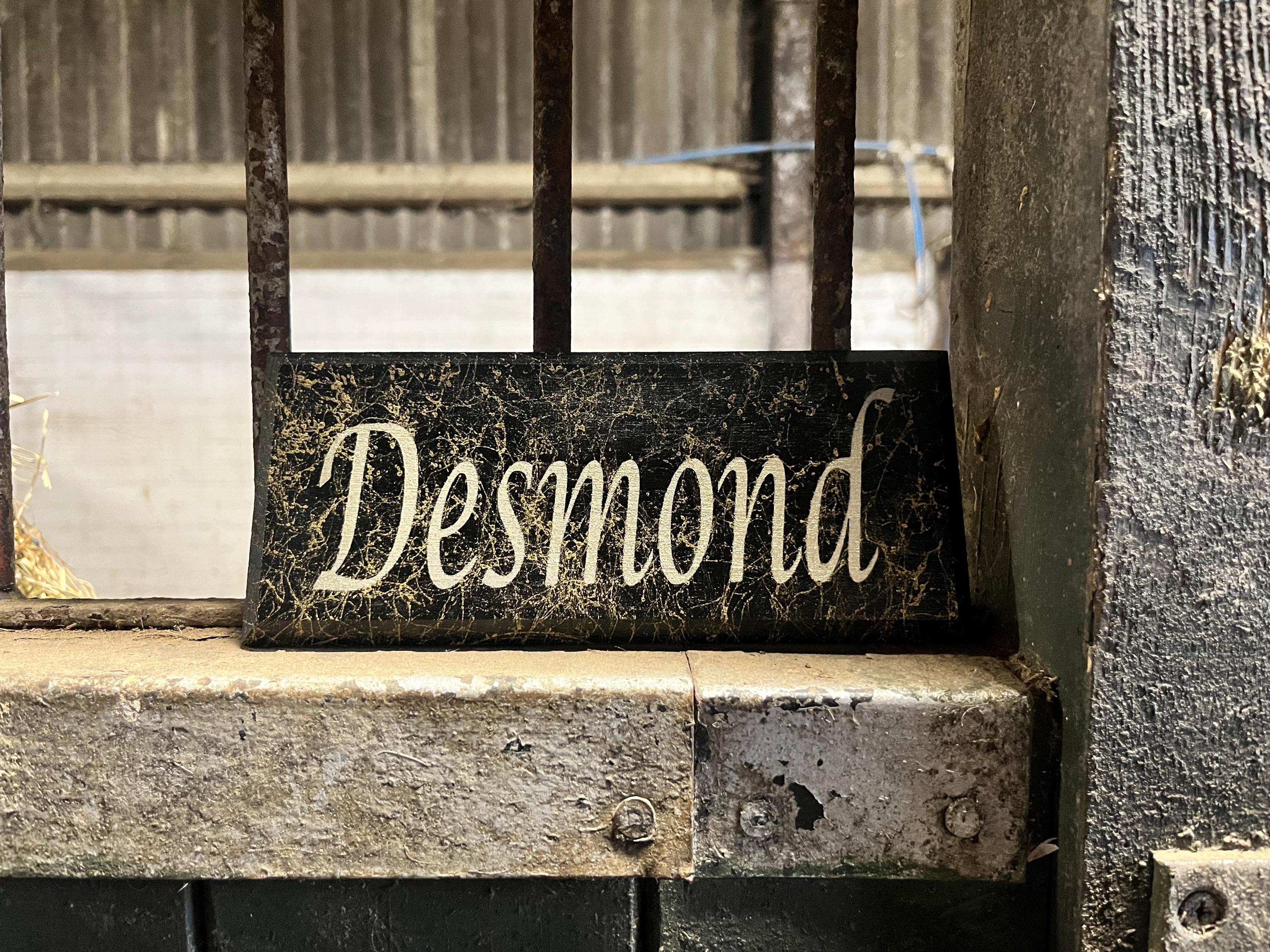 Stable Name Sign