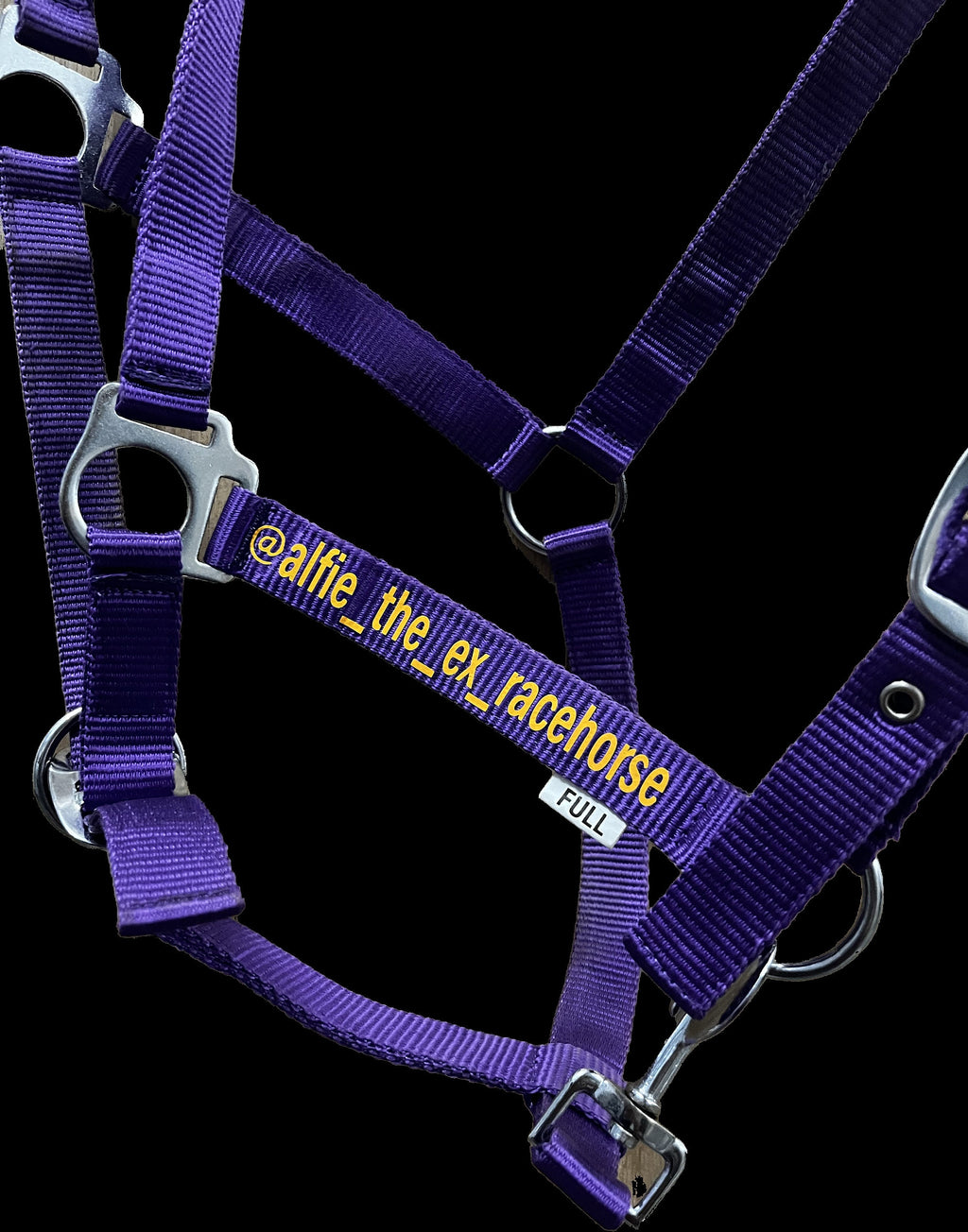 Personalised Horse Headcollar: Equestrian Halter, Custom Name