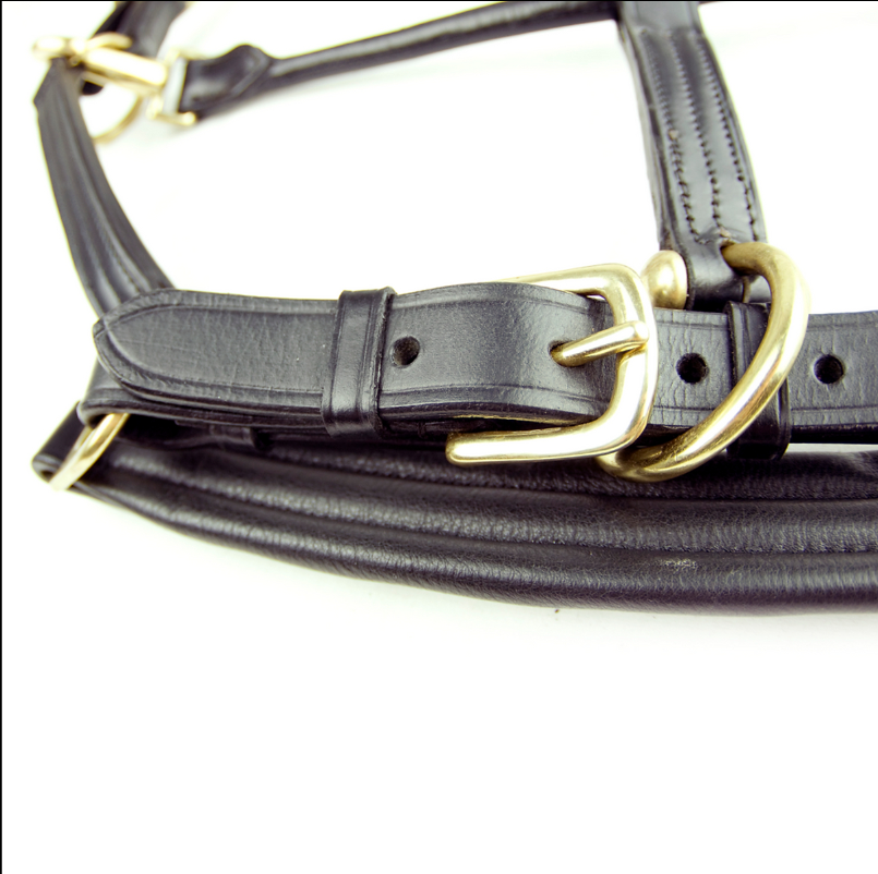 Ascot Padded Leather Headcollar