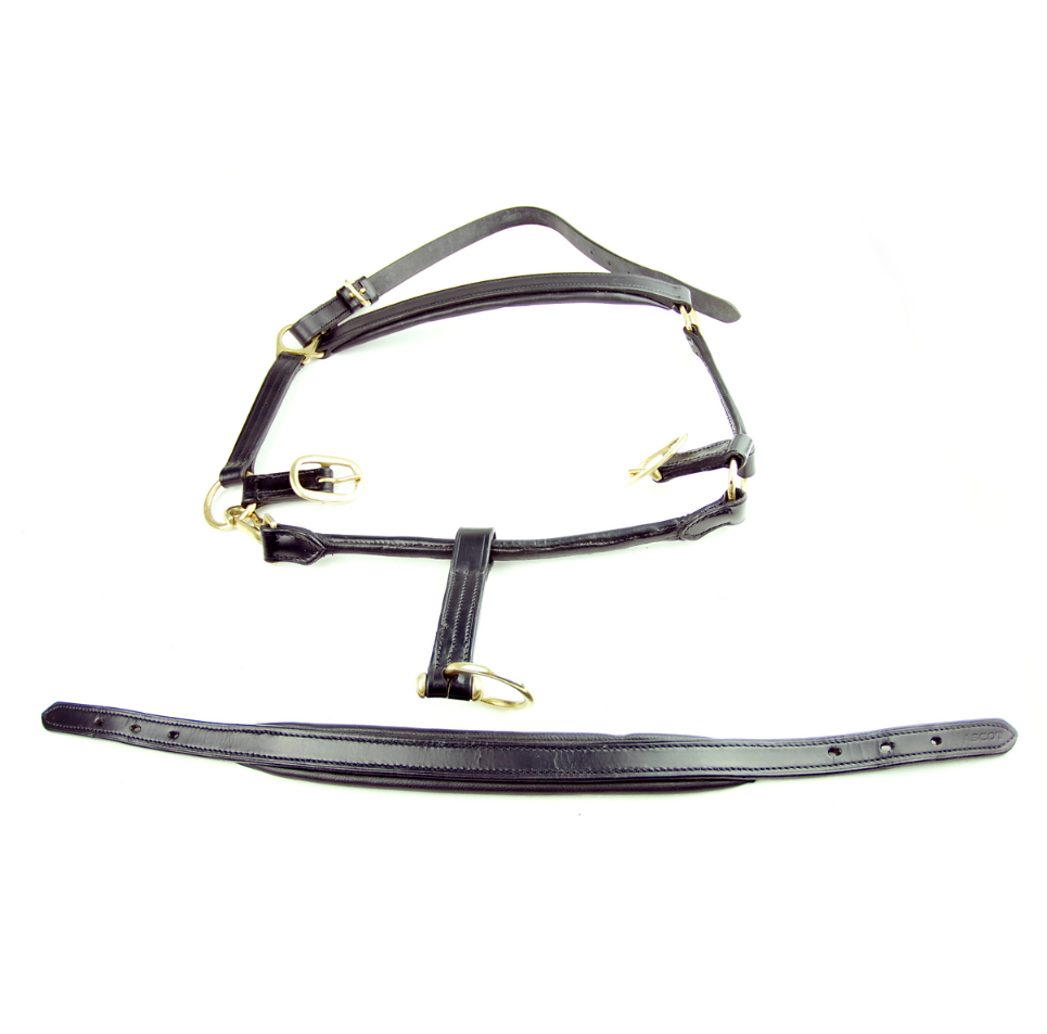 Ascot Padded Leather Headcollar