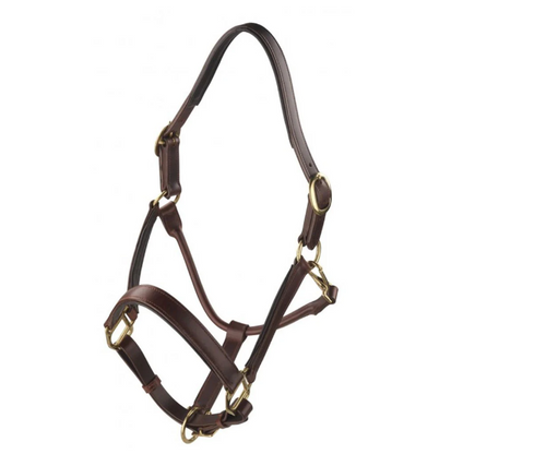 Ascot Padded Leather Headcollar
