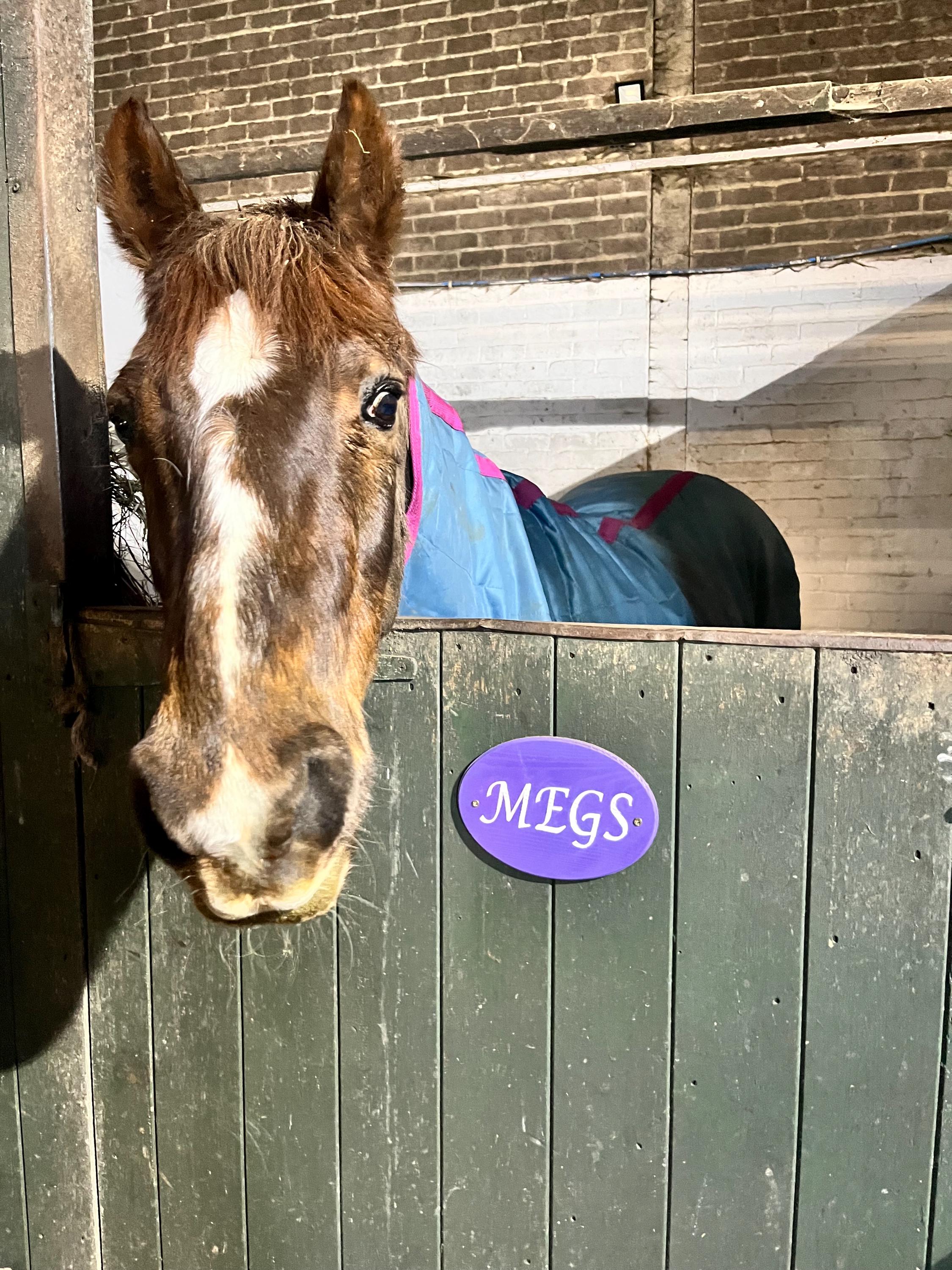 Personalized Horse Stable Door Sign: Colorful Barn Name Plate