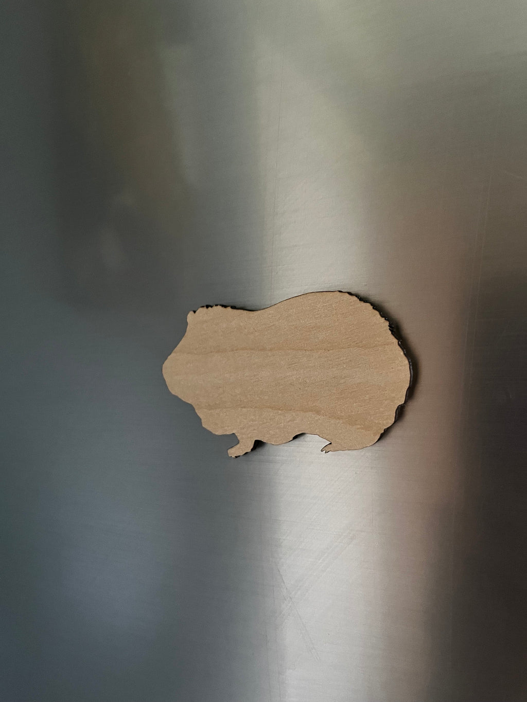 Personalised Guinea Pig Magnet – Custom Engraved Name Fridge Magnet – Cute Pet Lover Gift